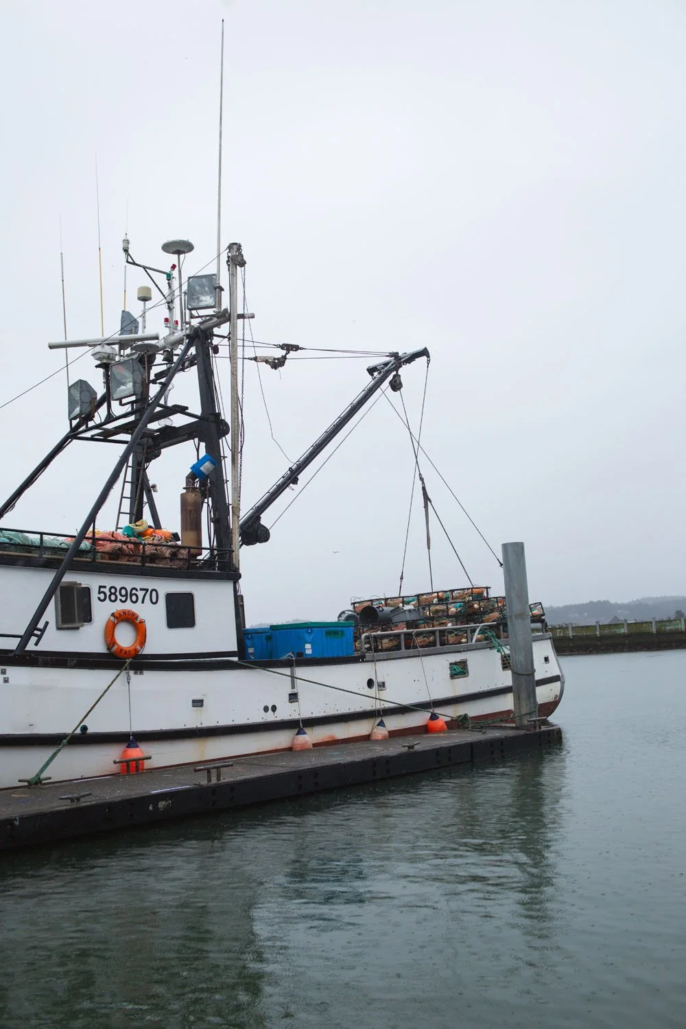 260207 Winter Waters Newport photo by Kara Stokes_0044.jpg