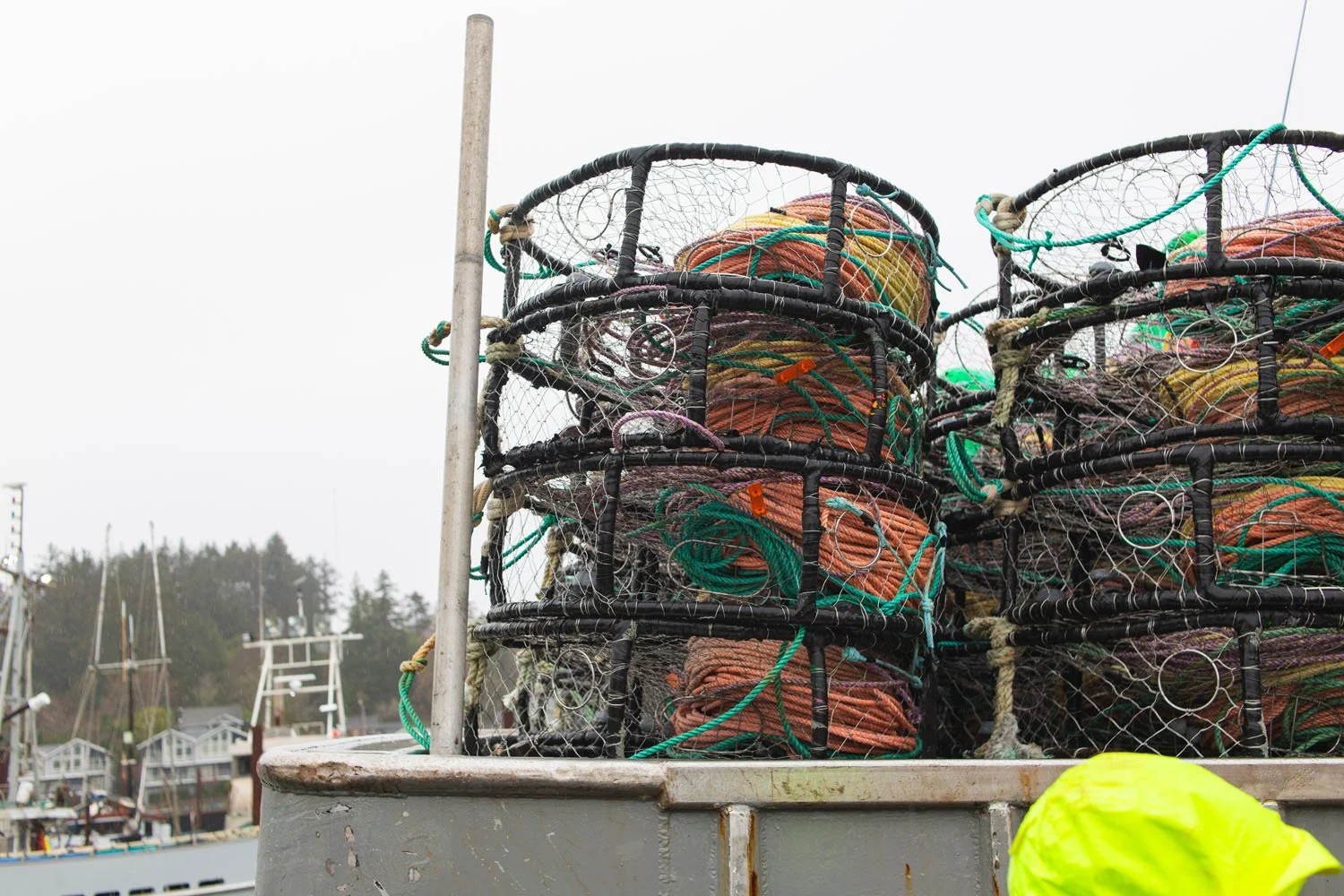 260207 Winter Waters Newport photo by Kara Stokes_0040.jpg