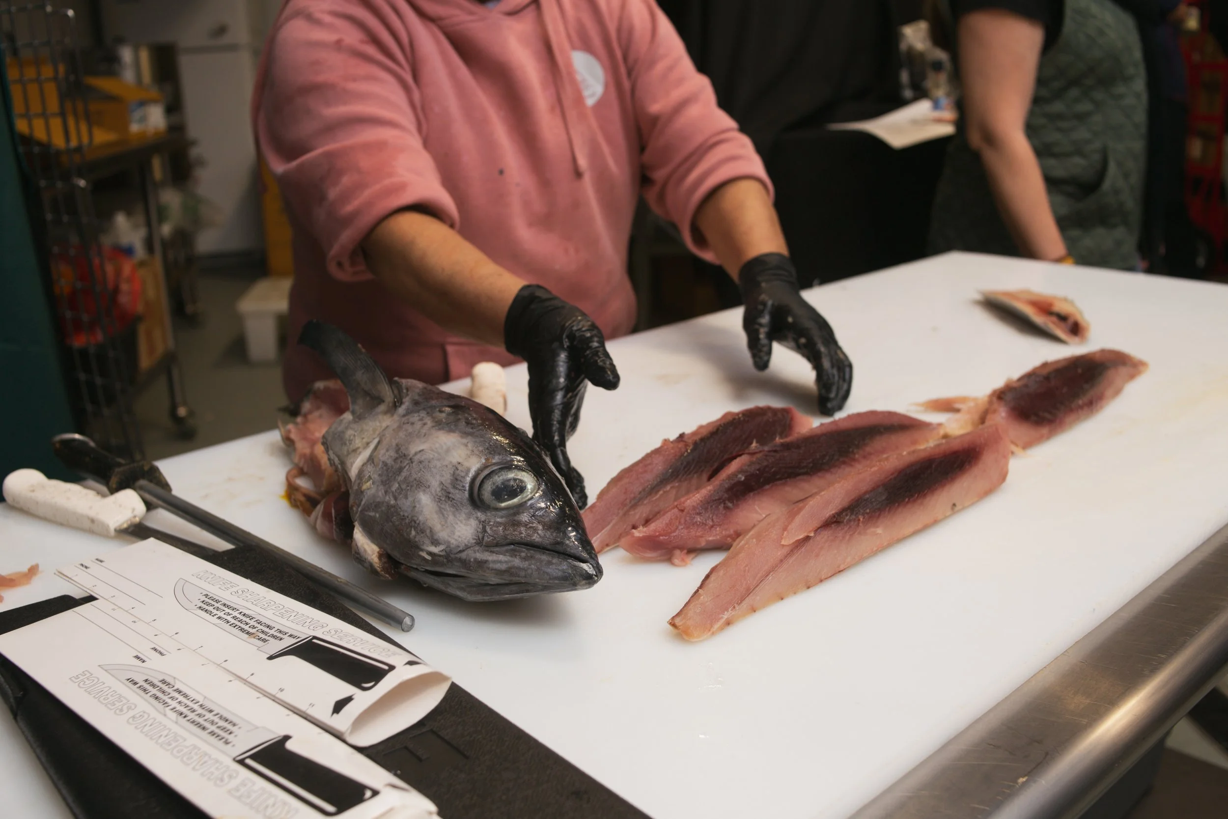 260207 Winter Waters Newport photo by Kara Stokes_0083.jpg