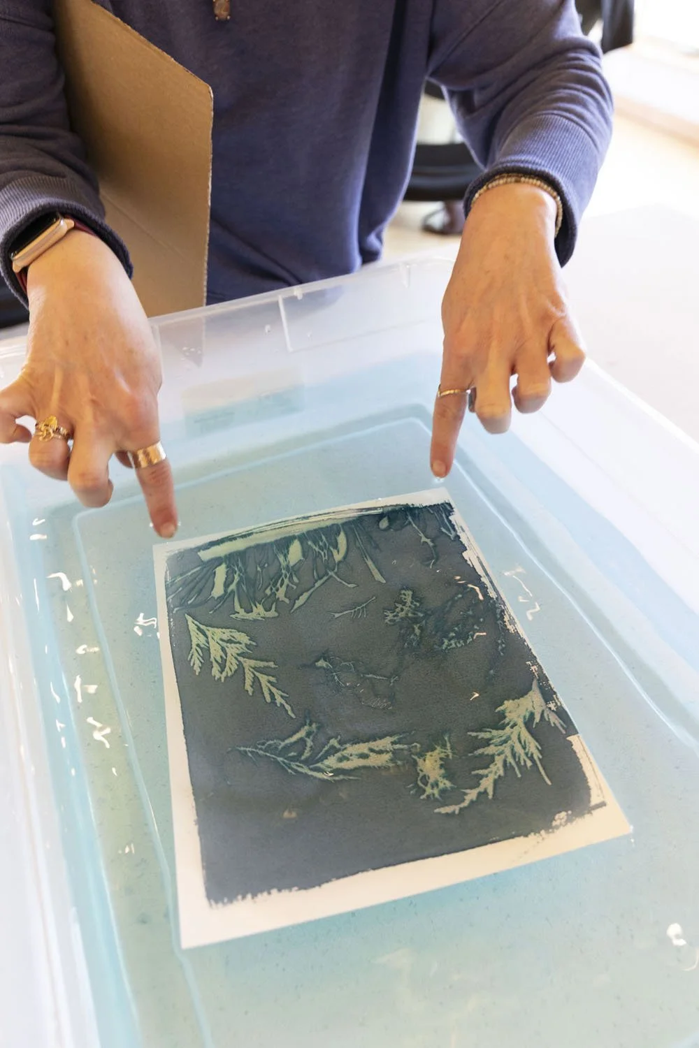 260212 Seaweed Cyanotypes Seaside photo by Rachelle Hacmac @littlezestypdx 56.jpg