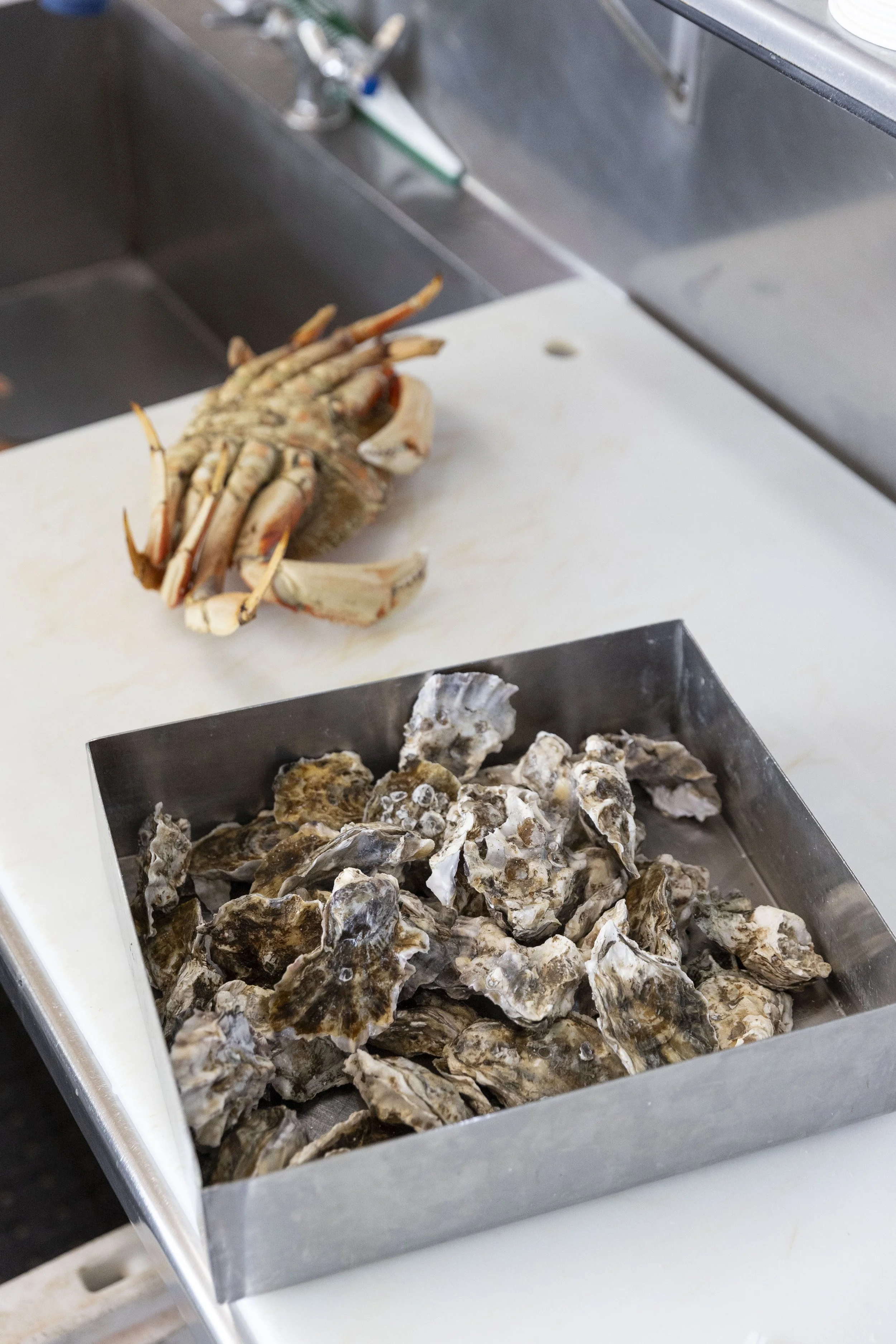 260206  Local Ocean Catering photo by Rachelle Hacmac @littlezestypdx 28.jpg