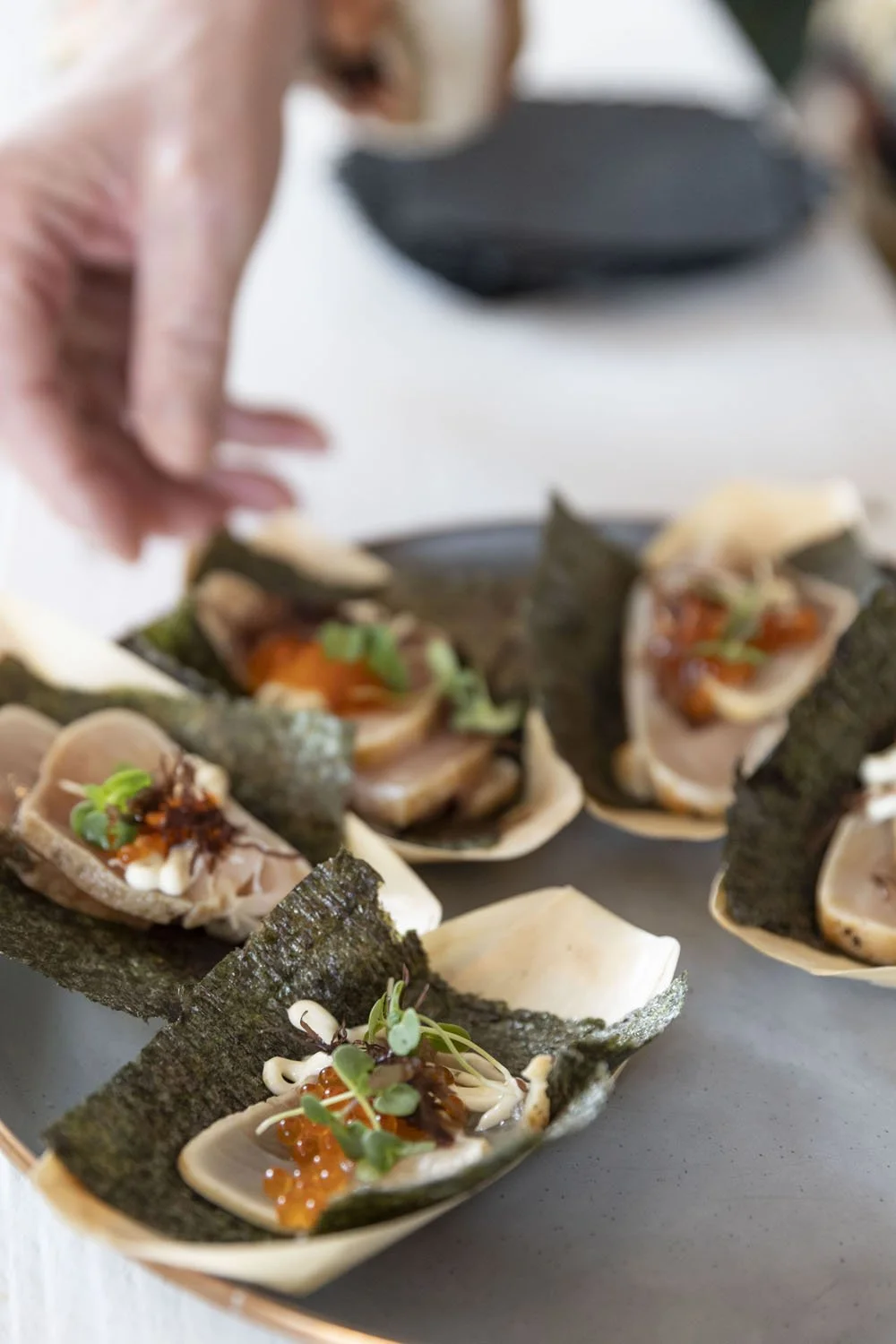 260214 Tournant Winter Waters photo by Rachelle Hacmac 03.jpg