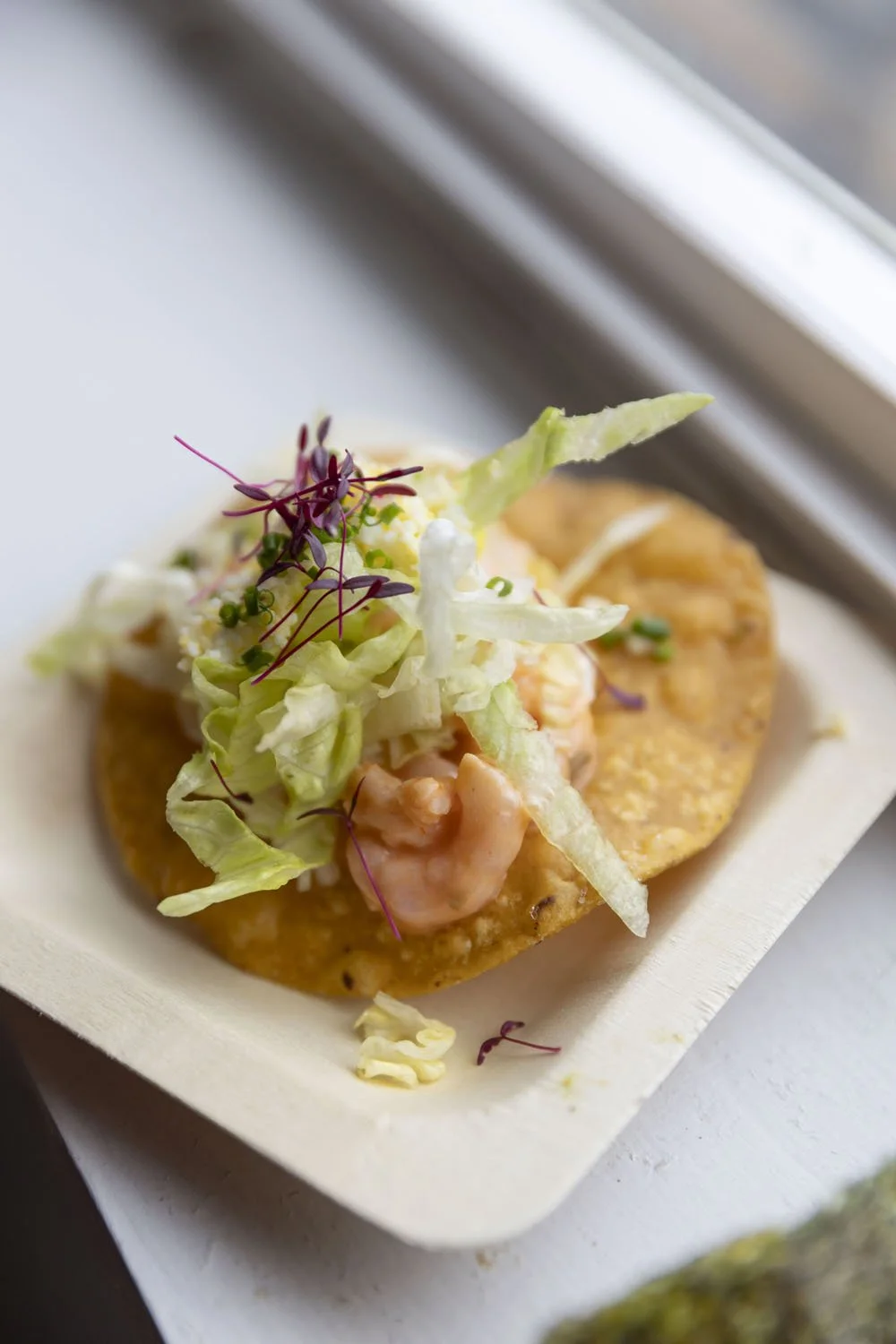 260214 Tournant Winter Waters photo by Rachelle Hacmac 05.jpg