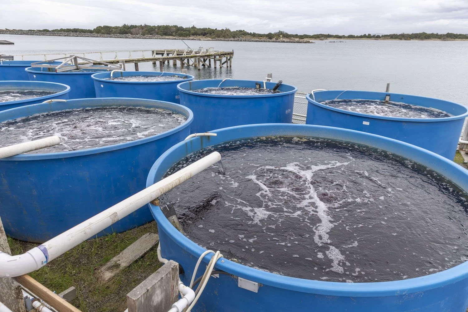260220 Port of Bandon Tour Winter Waters photo by Rachelle Hacmac @littlezestypdx 21.jpg