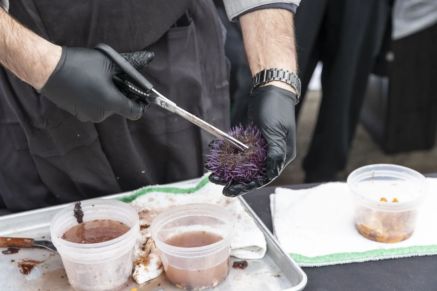 260220 Port of Bandon Tour Winter Waters photo by Rachelle Hacmac @littlezestypdx 28.jpg