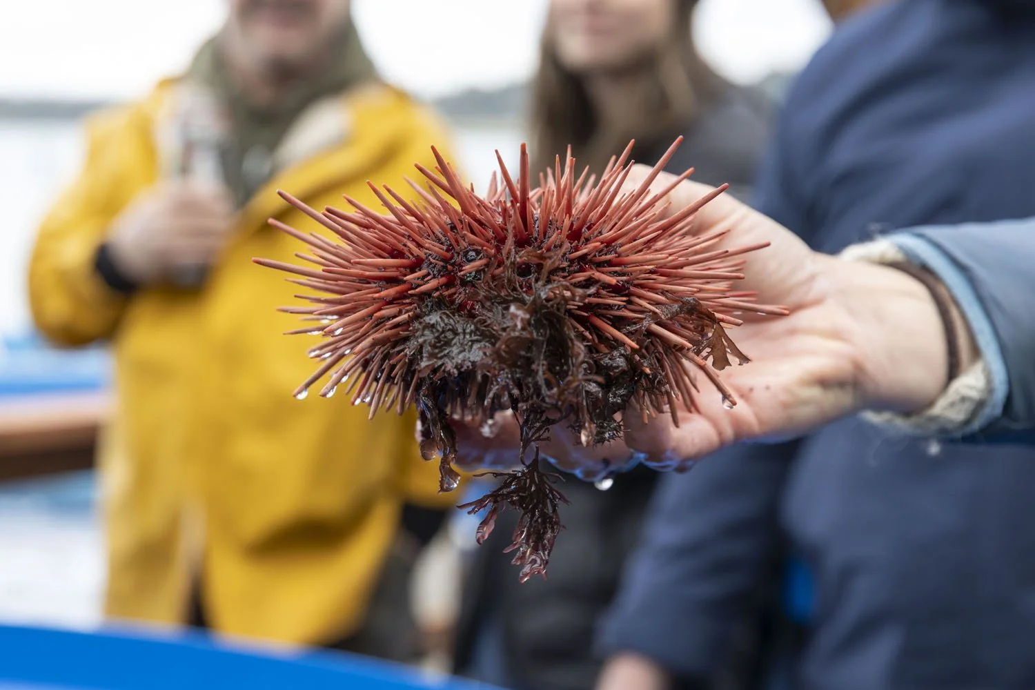 260220 Port of Bandon Tour Winter Waters photo by Rachelle Hacmac @littlezestypdx 39.jpg