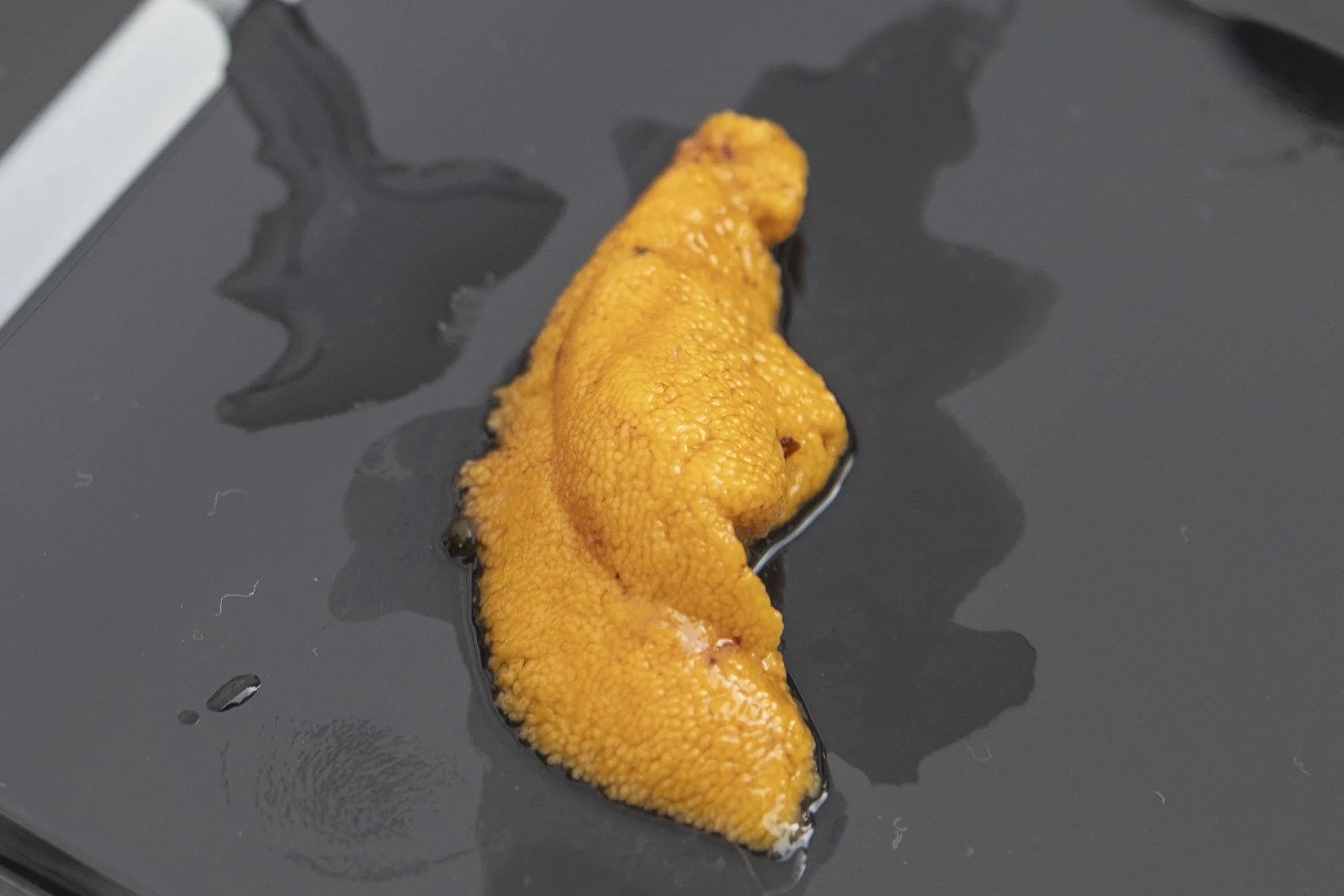 260220 Port of Bandon Tour Winter Waters photo by Rachelle Hacmac @littlezestypdx 77.jpg