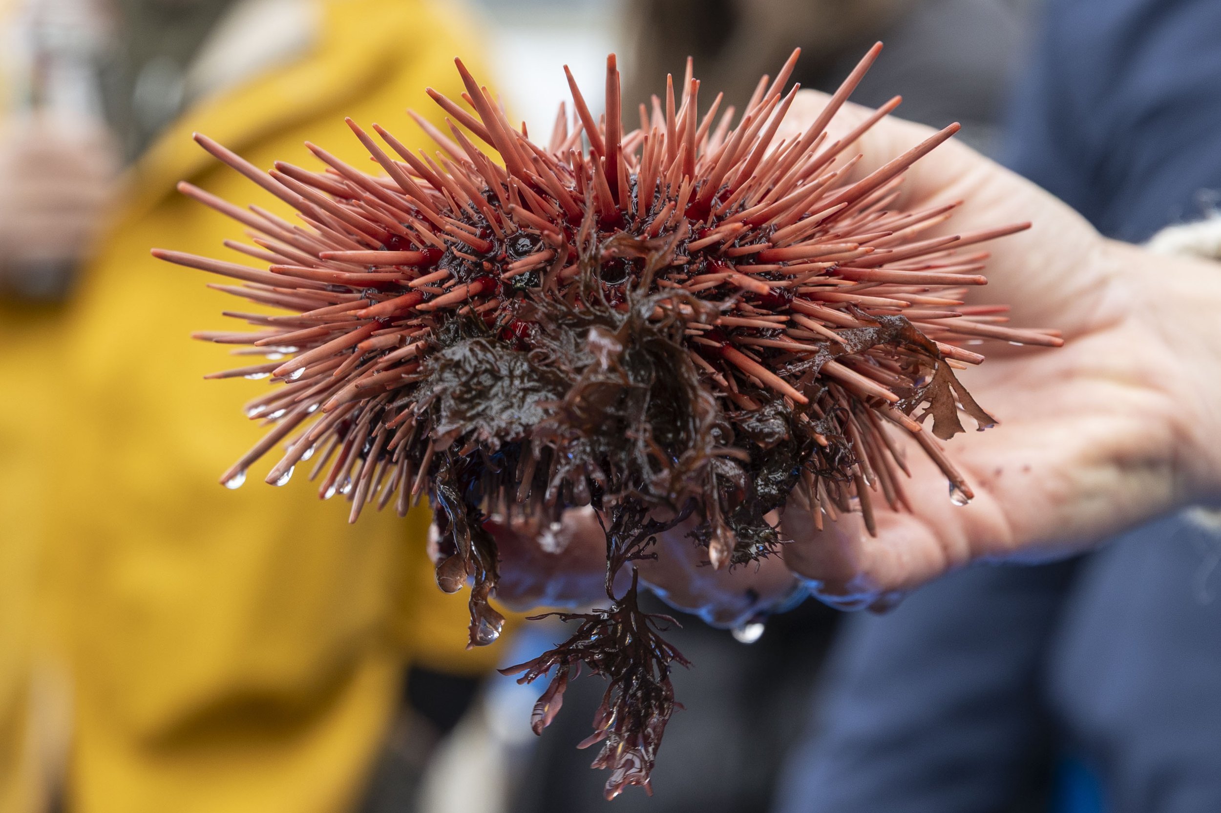 RECAP: Bandon Port Tour