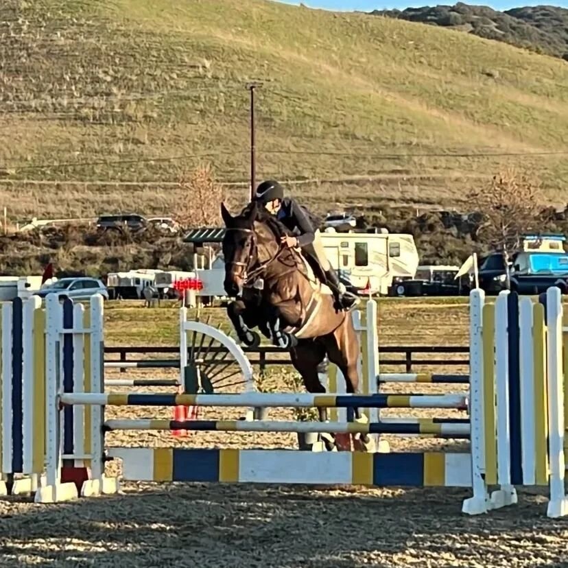 Let's hear it for the jumpers 🎉 Our jumper crew had some fantastic rounds at the Jingle Bell to finish out the year.

Choco-chino and Iachimo had some great rounds in the 1M and 1.10 jumpers respectively, and are feeling great headed into the new ye