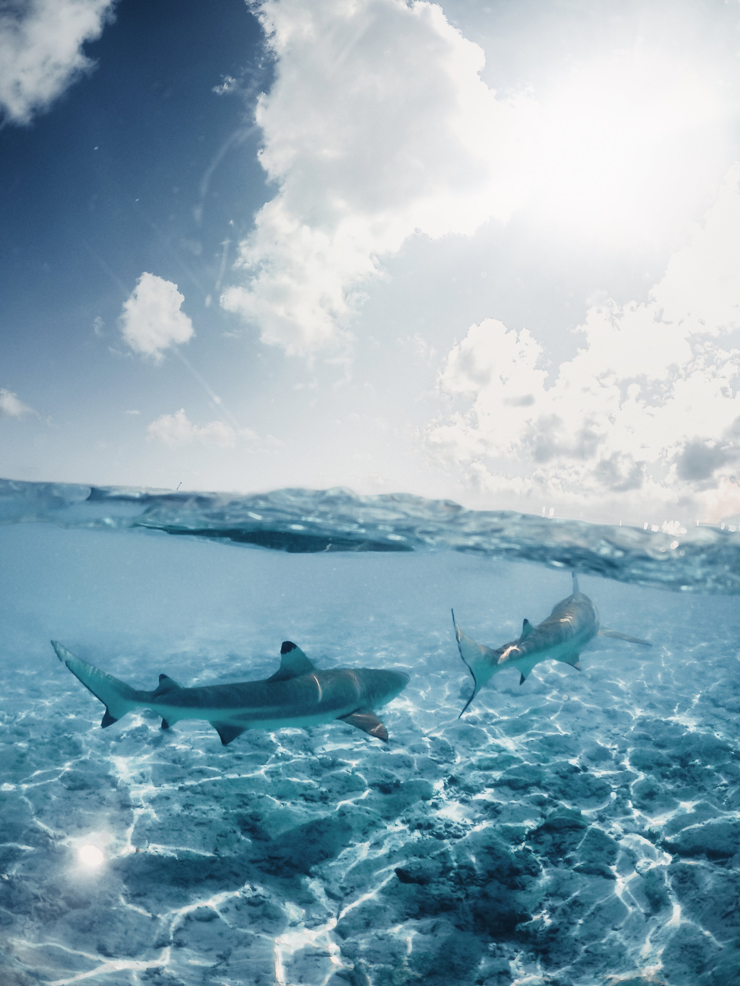 ld-export-357d464f-04182022 2.JPG