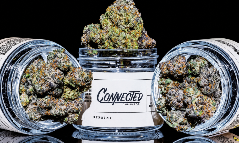 30% off Connected flower at The Hook Santa Cruz