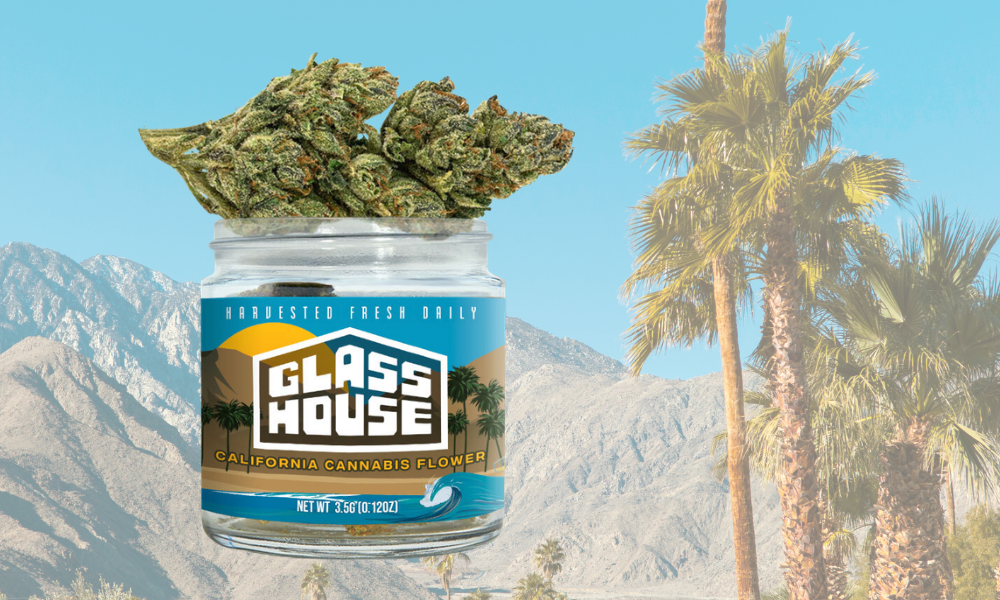 40% off Glass House Farms flower at The Hook Capitola