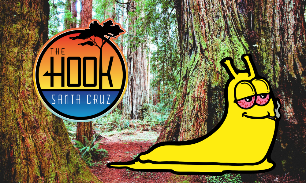 10% off for Students at The Hook Santa Cruz