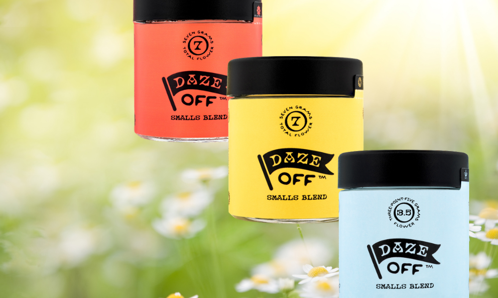 30% off everything from Daze Off at The Hook Watsonville