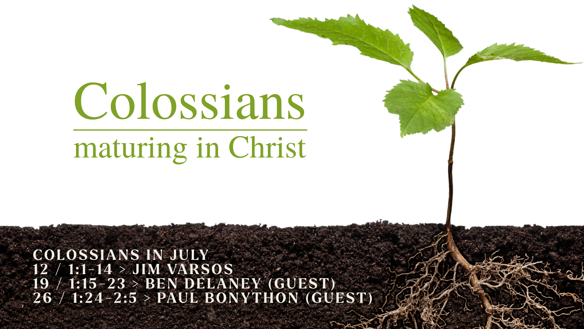 Book of Colossians