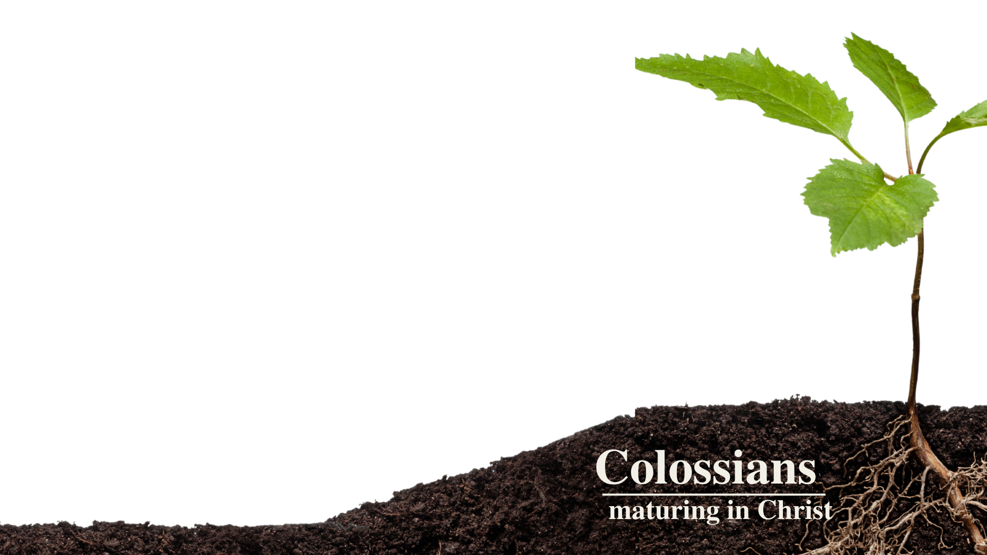 9 August 2026 - Colossians 2:6-15, Thankfulness, Ben Bonython