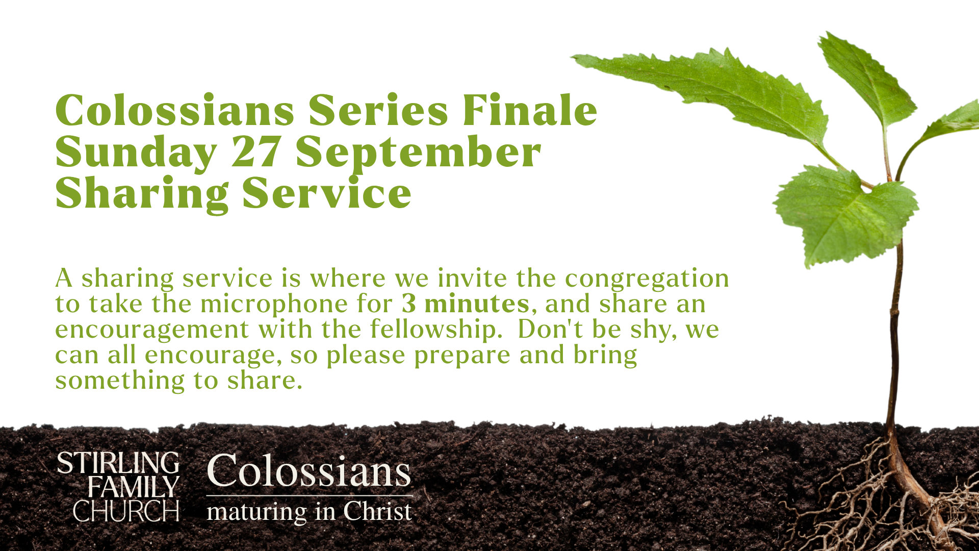 Sharing Service this Sun