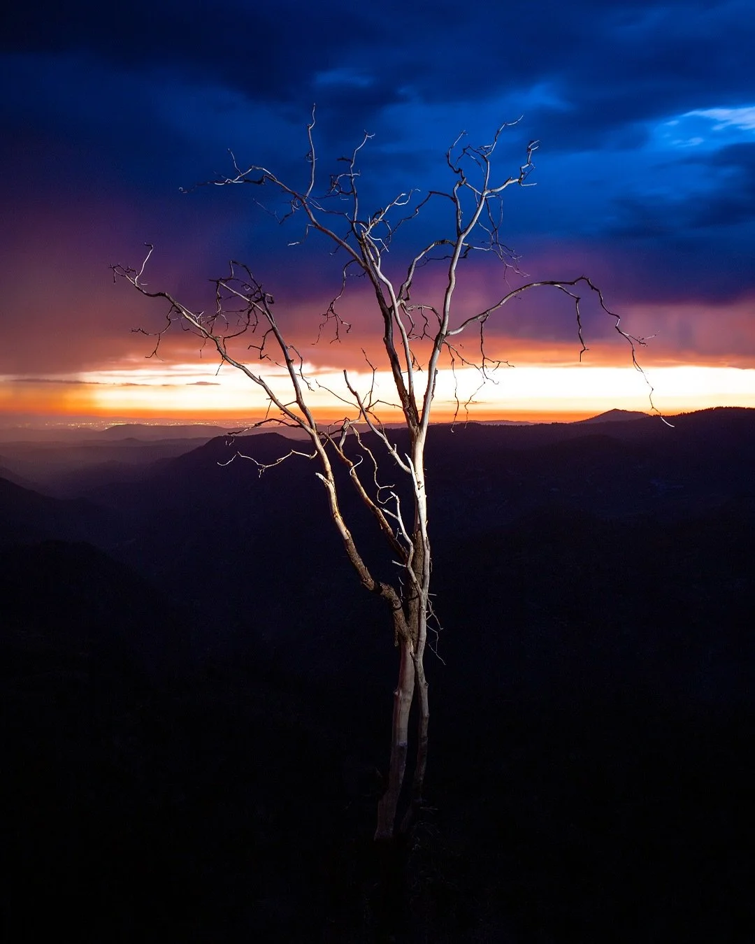 The calm after the storm. It had been pouring rain all day, and while driving back into the valley, I was able to catch a break in the storm and captured this tree overlooking the Central Valley. The ominous storm clouds created this dramatic scene w