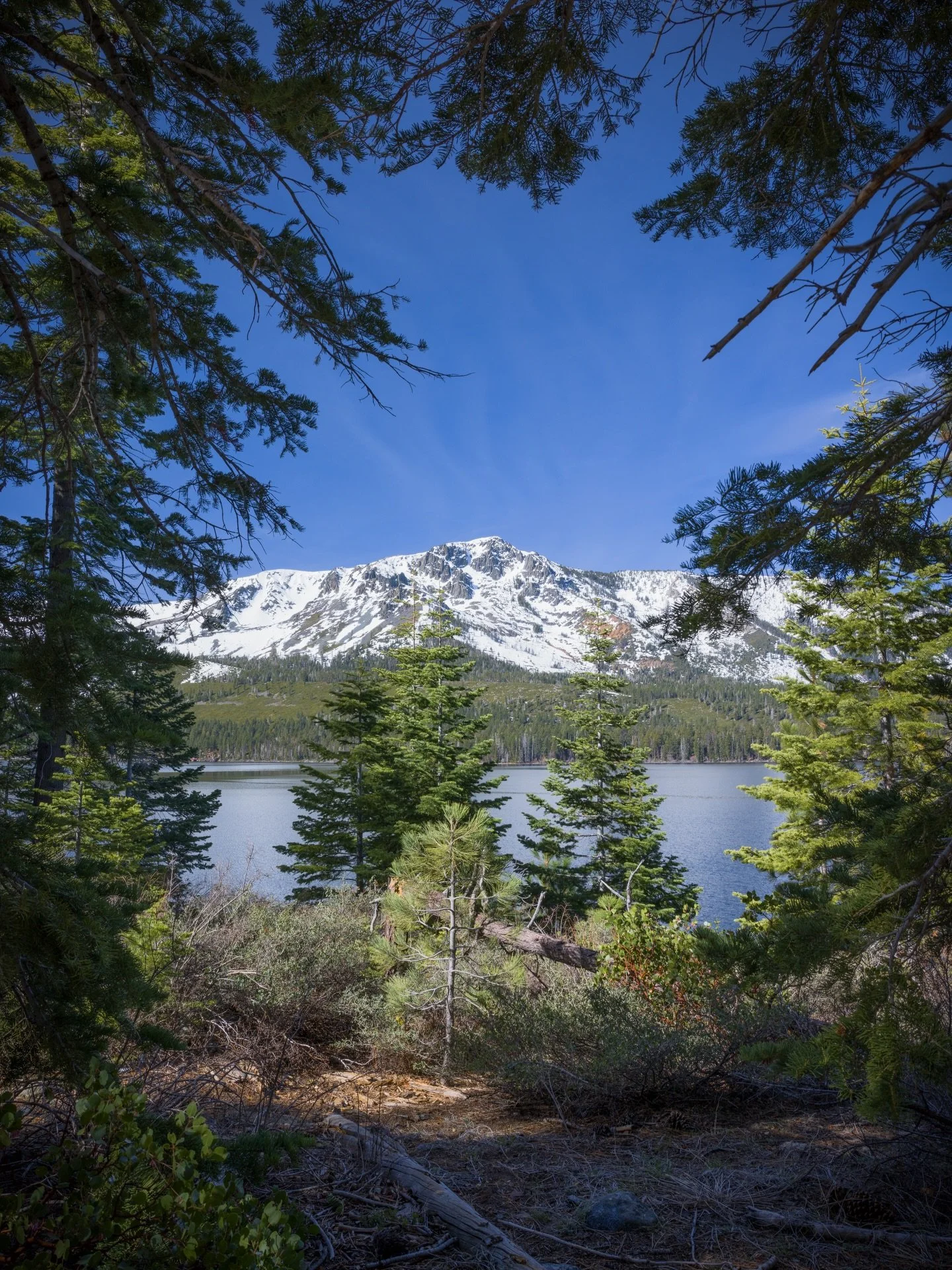 Spent the morning hiking around Fallen Leaf. There&rsquo;s no better way to start a Sunday.

Prints of this photo are available on my website.

#FallenLeafLake #MountTallac #California #Hiking