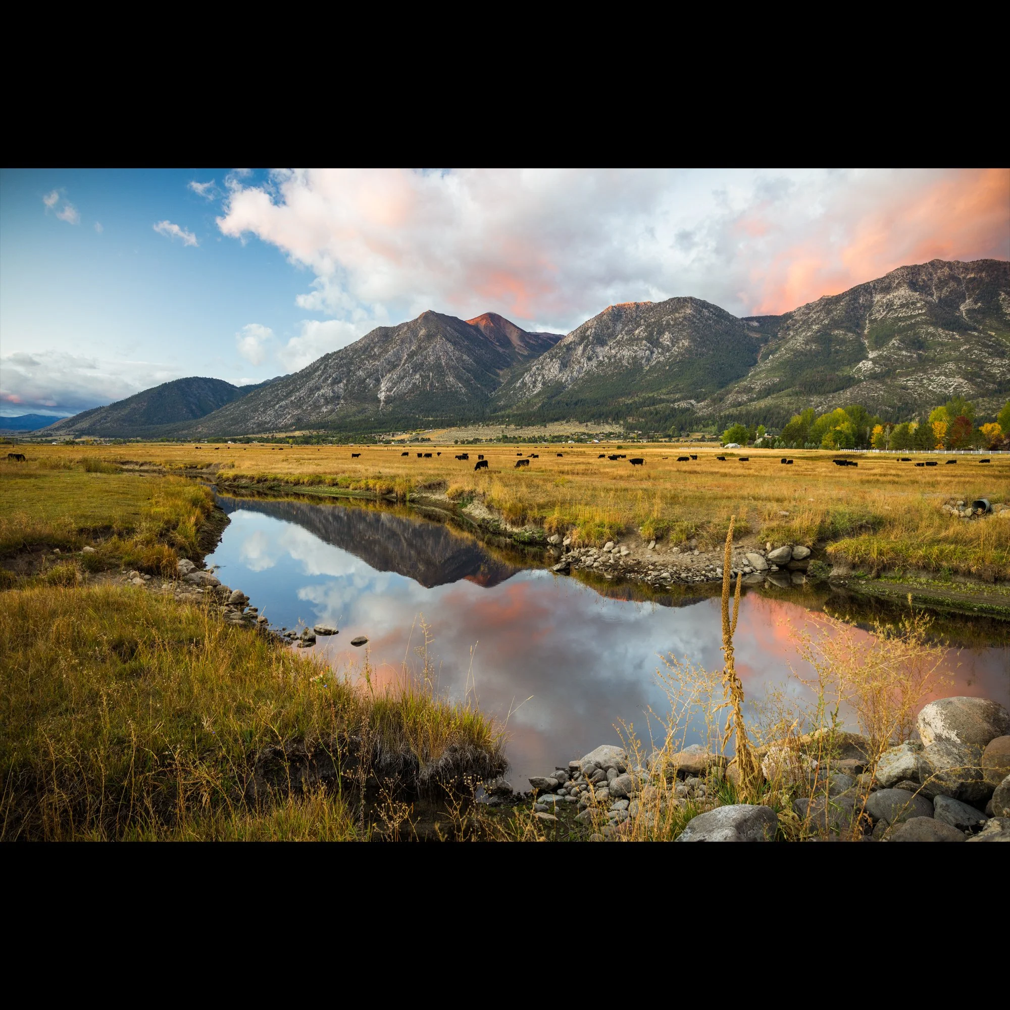 valley-morning.jpg