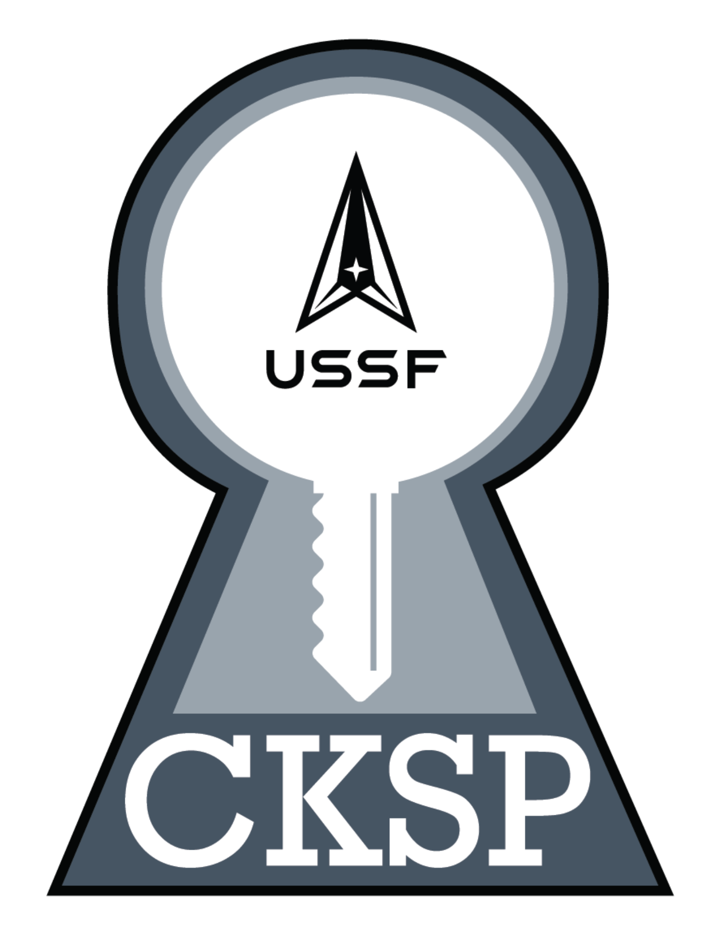 United States Space Force Lapel Pin