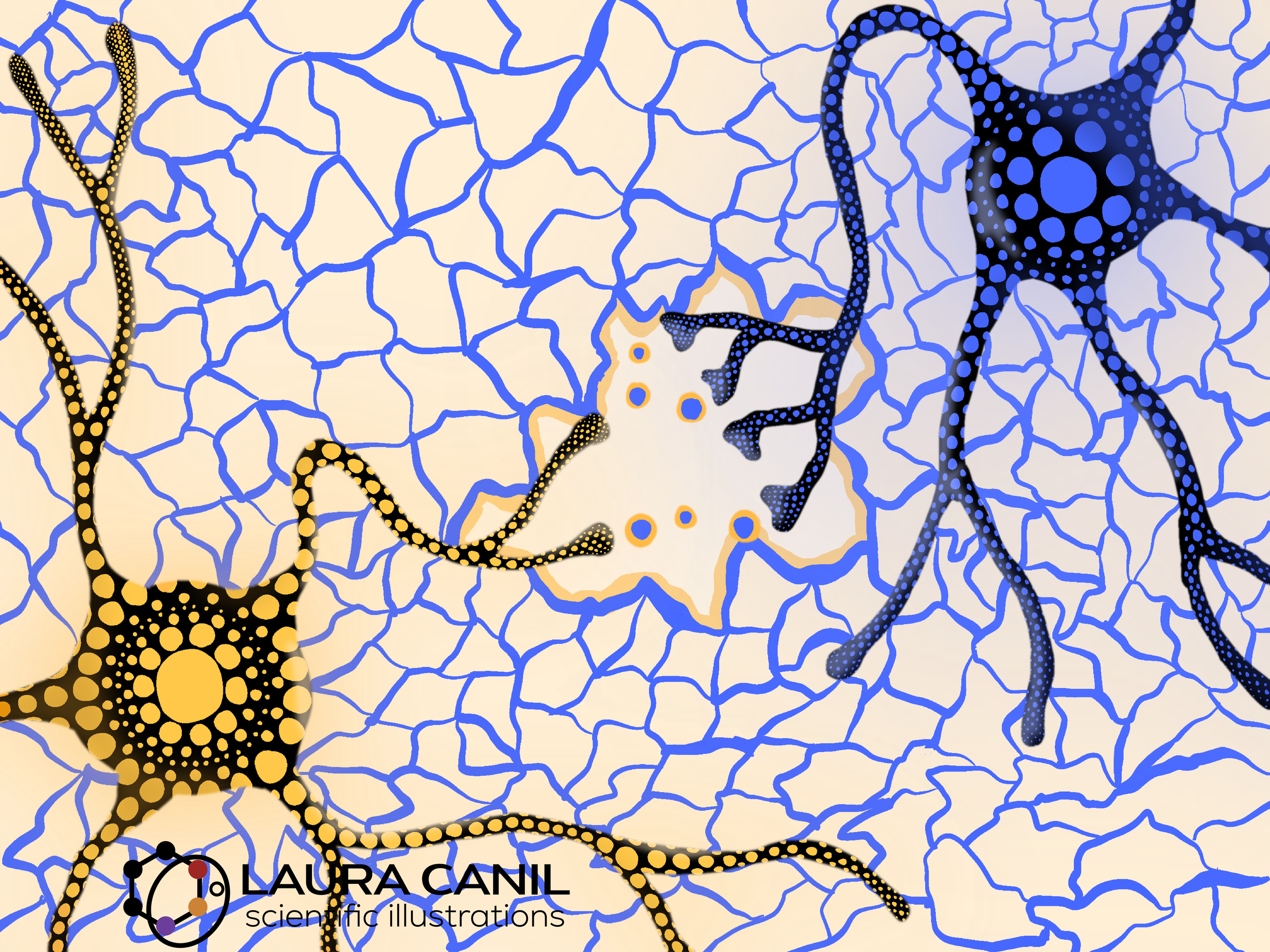 Neurons: a tribute to Yayoi Kusama