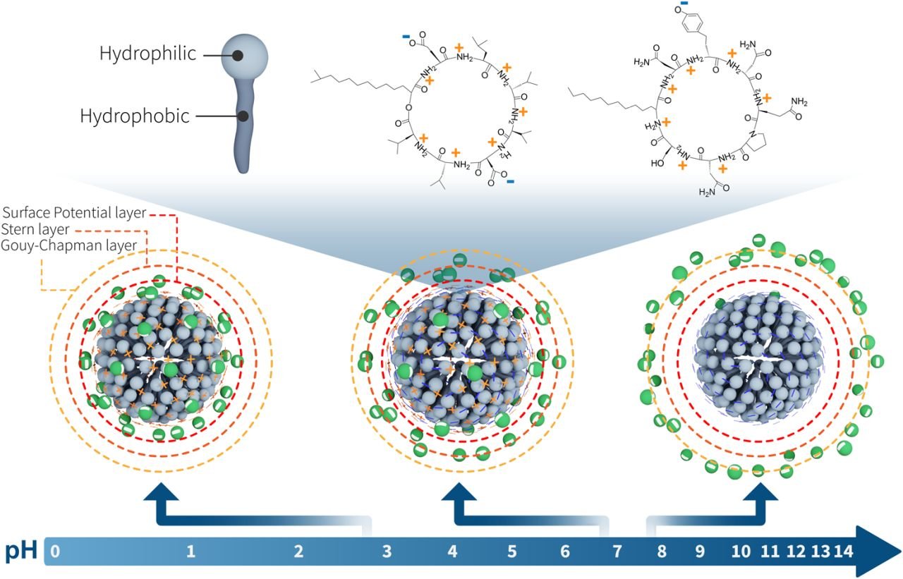 How the pH affects interfacial charge (Moreira Group - University of Bremen)