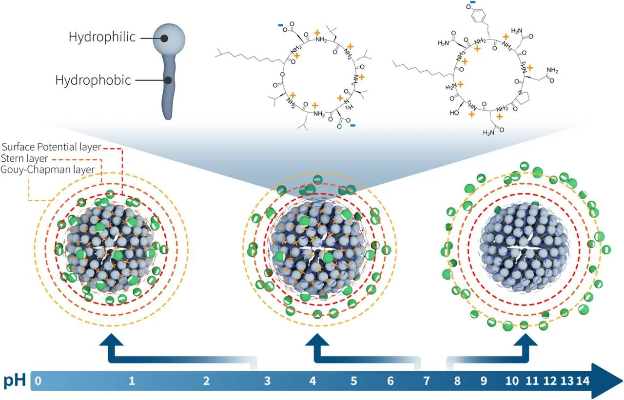 How the pH affects interfacial charge (Moreira Group - University of Bremen)
