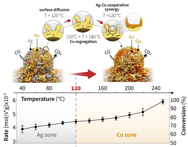 Nanoporous Gold for CO Oxidation (Moreira Group - University of Bremen)