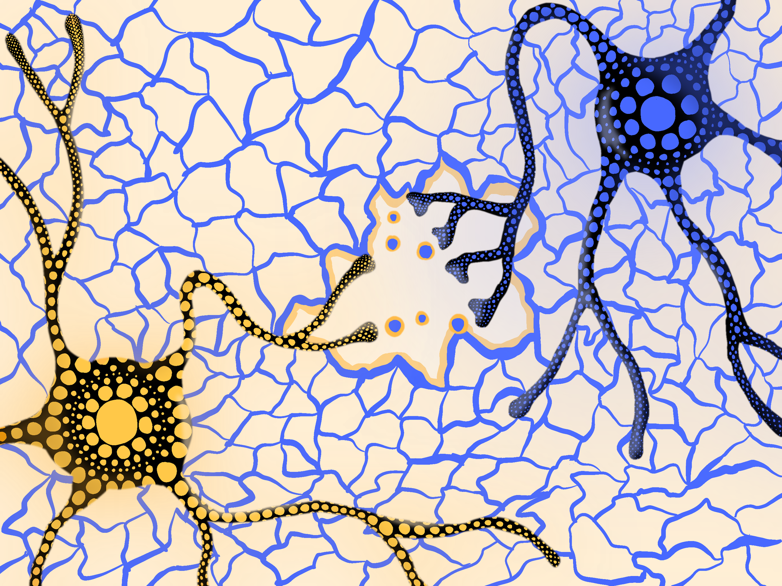 Neurons: a tribute to Yayoi Kusama