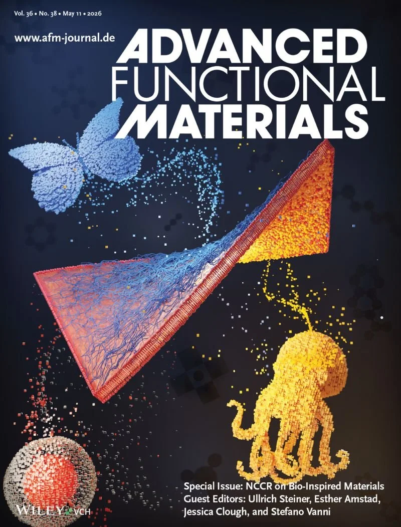 12 years of NCCR Bio-Inspired Materials - Fribourg