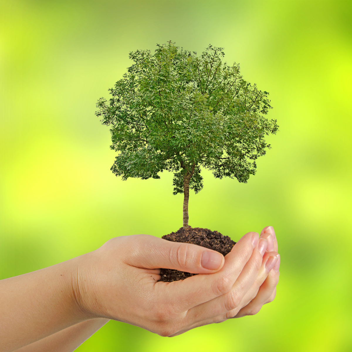 White Green Modern International Mountain Day Facebook Cover (1080 × 1080px) (8).png