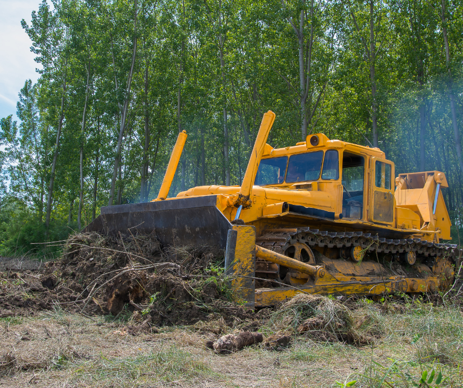 🎄 AFSNIT 5 — “Når floden bliver fjenden”