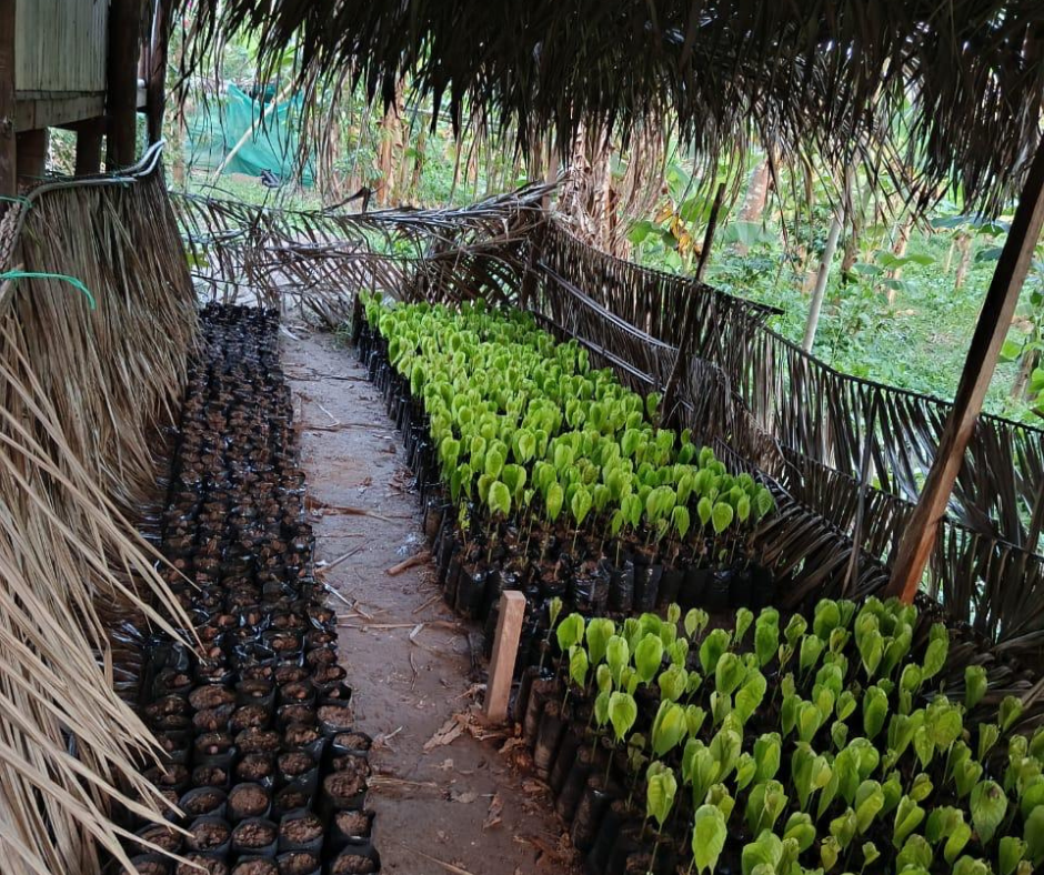 🎄 AFSNIT 11 - “ Afsnit 11 — Renatos ankomst og de 2000 spirers løfte”