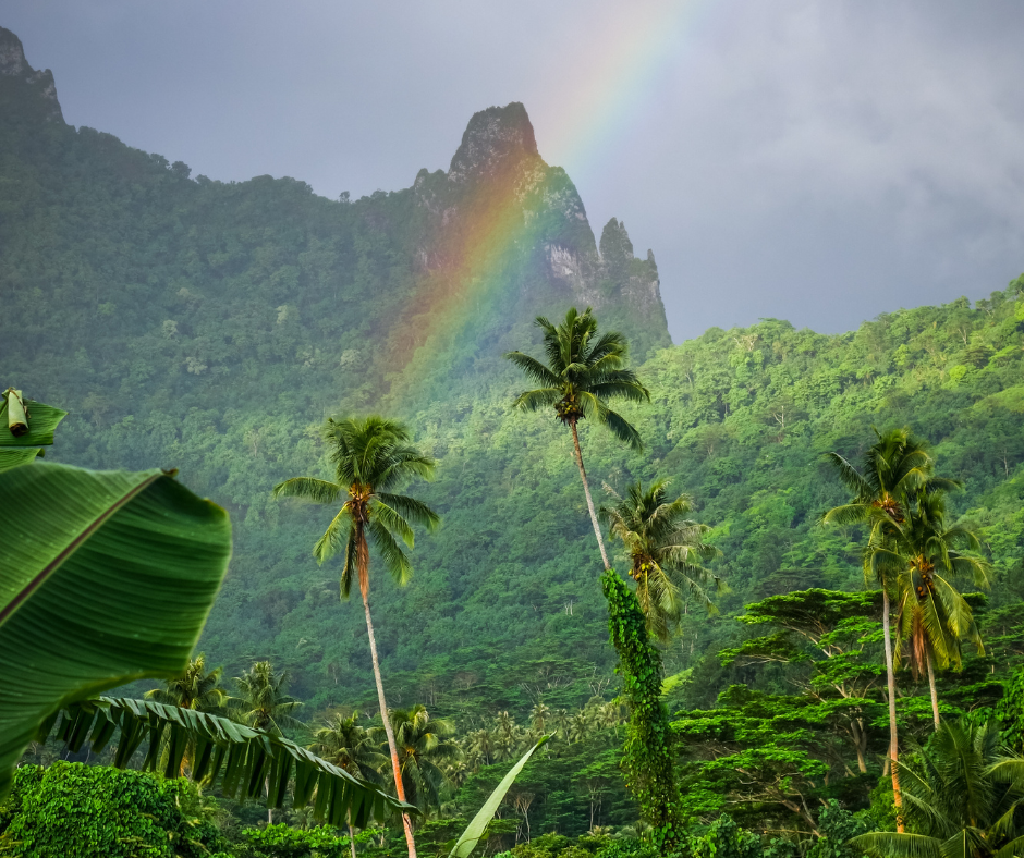 🎄 Afsnit 16 - Tegnet der kalder