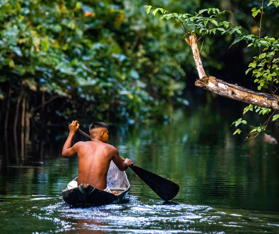 Sailing on the amazon river