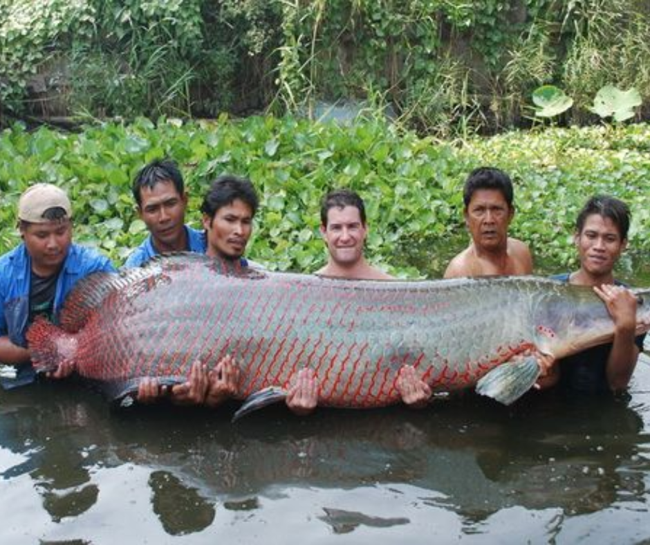 🎄 Afsnit 20 - Paichens velsignelse