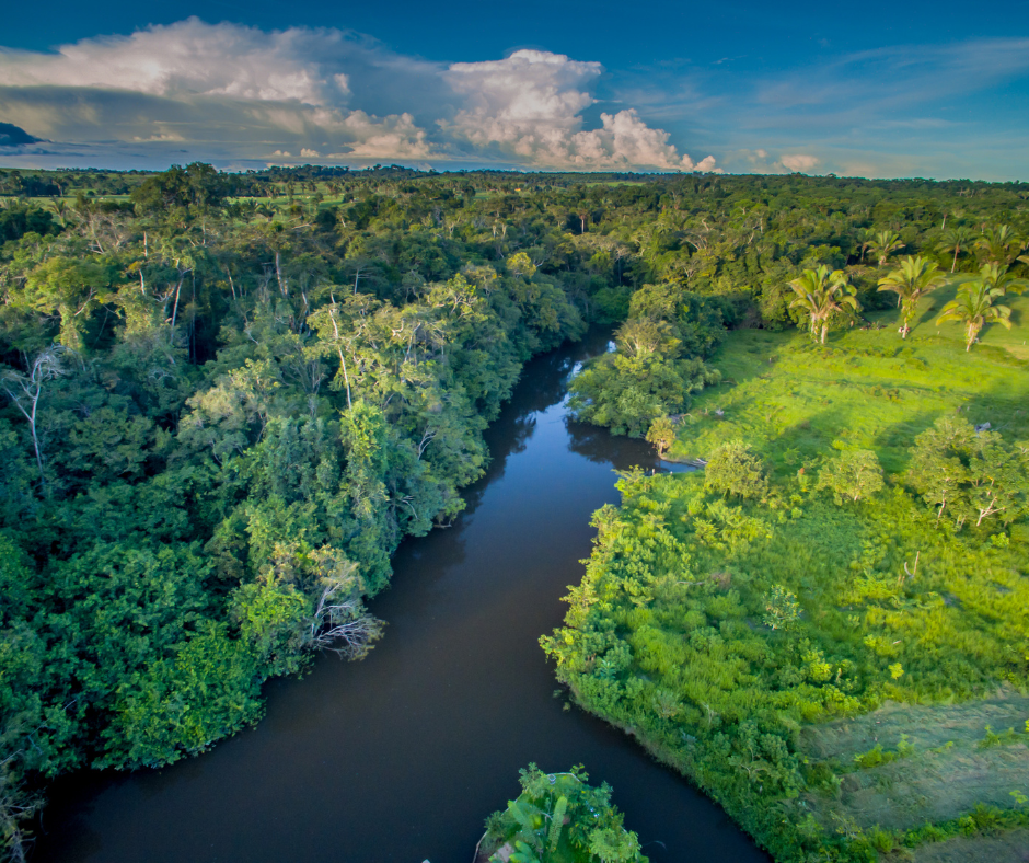🎄 Afsnit 21 - Det gamle sagn