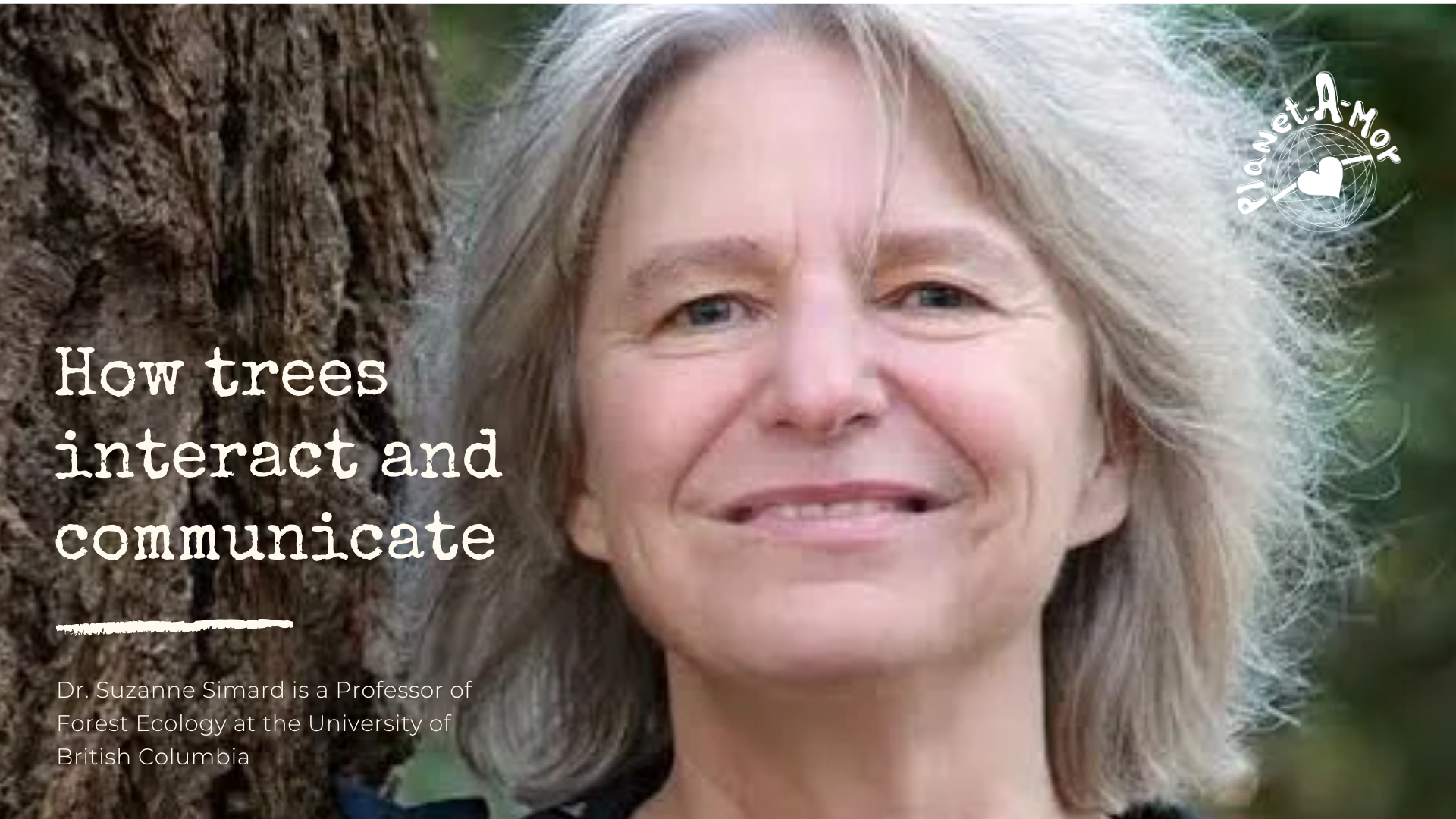 🌱 The trees were talking. And no one had been listening.