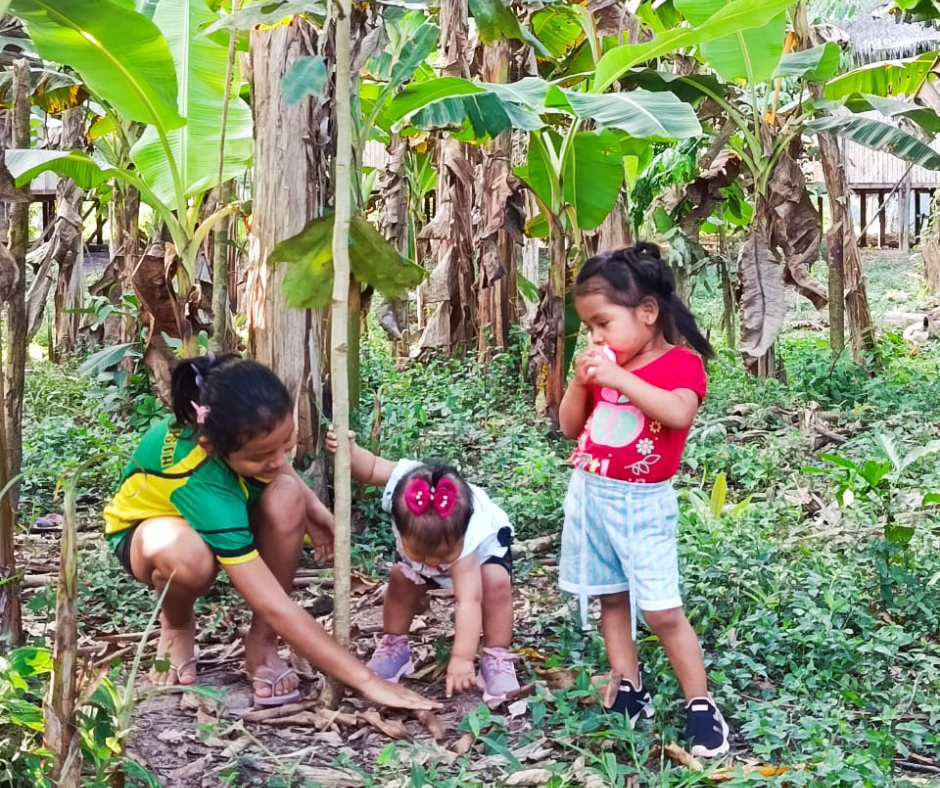 Planting trees