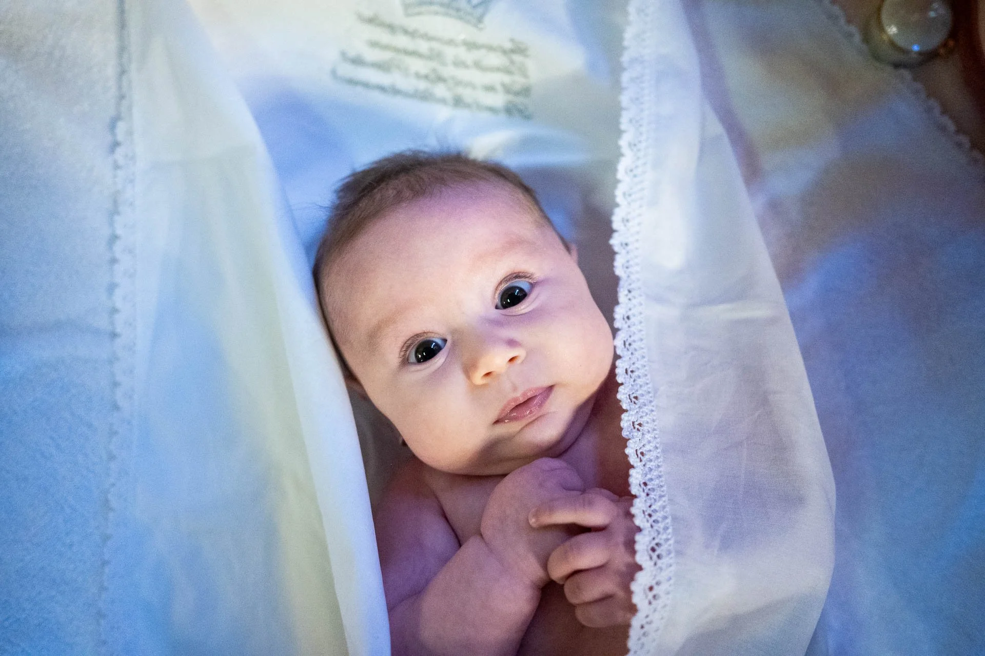 un bebelus care se uita fix in aparatul foto