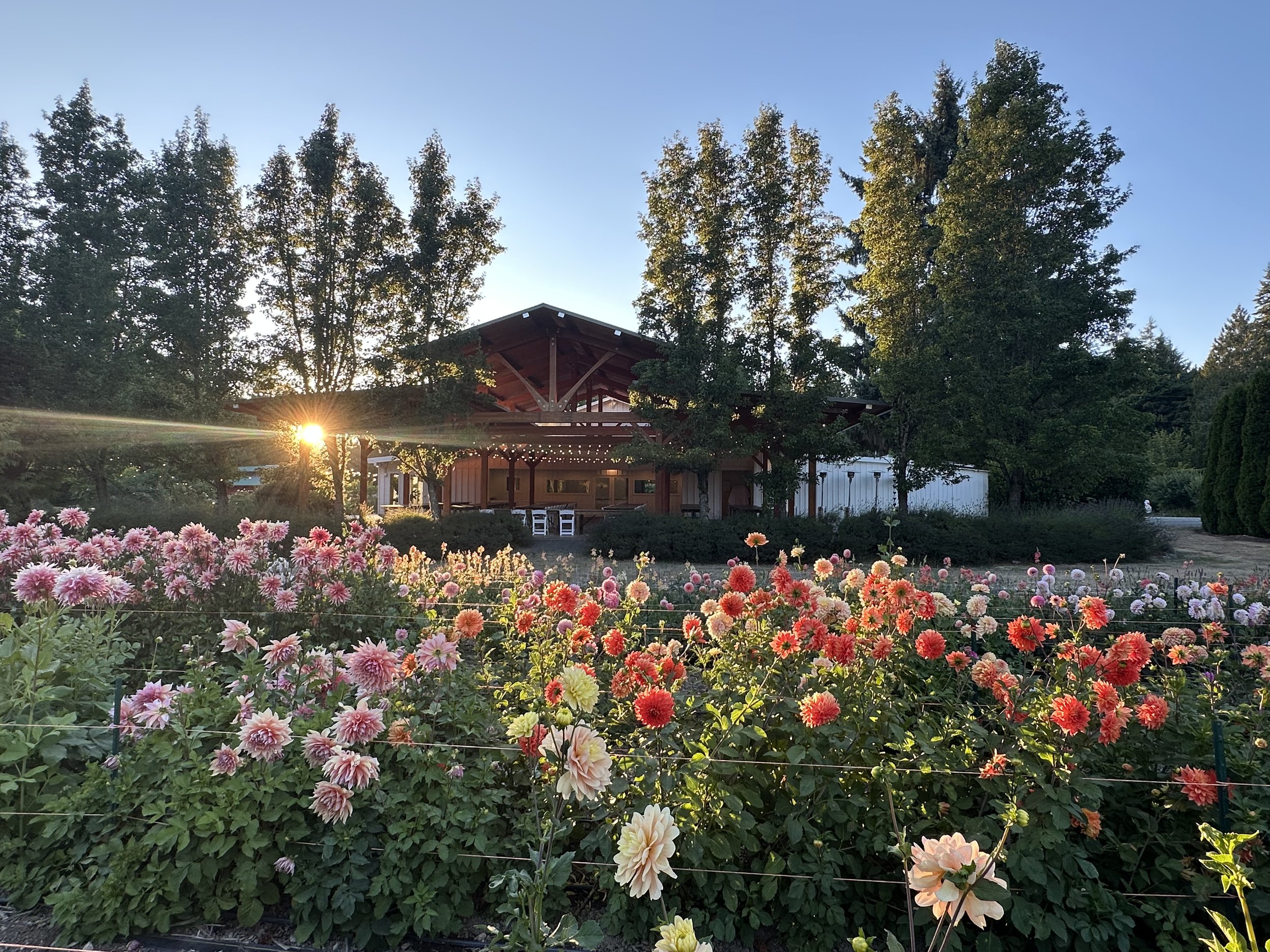 FK Pavilion at Sunset.jpeg