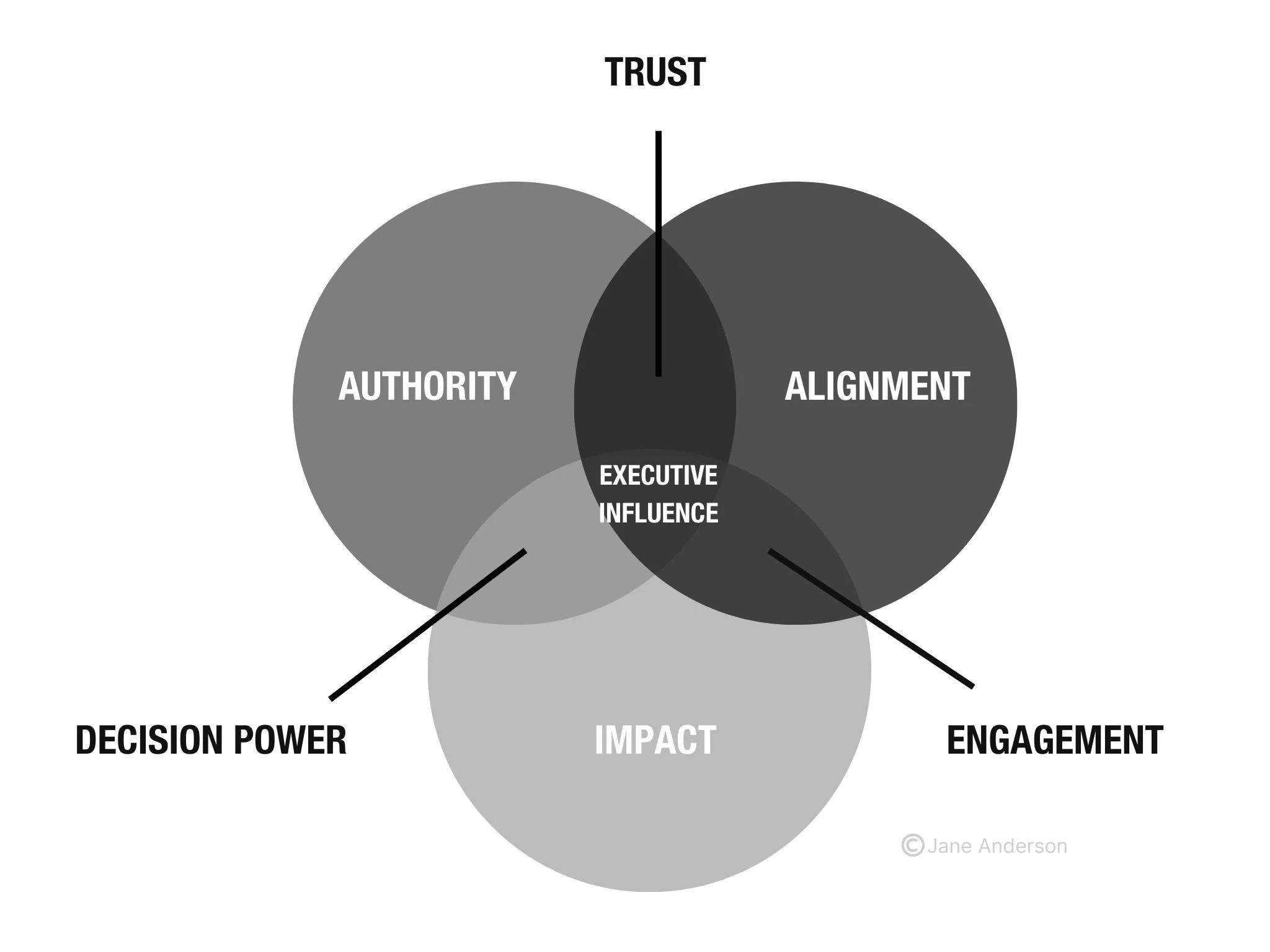 Executive Influence Jane Anderson