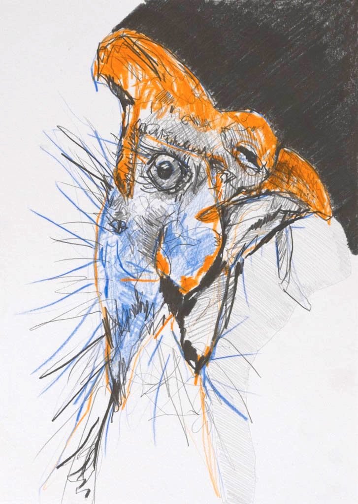 M000186_Fred.jpg