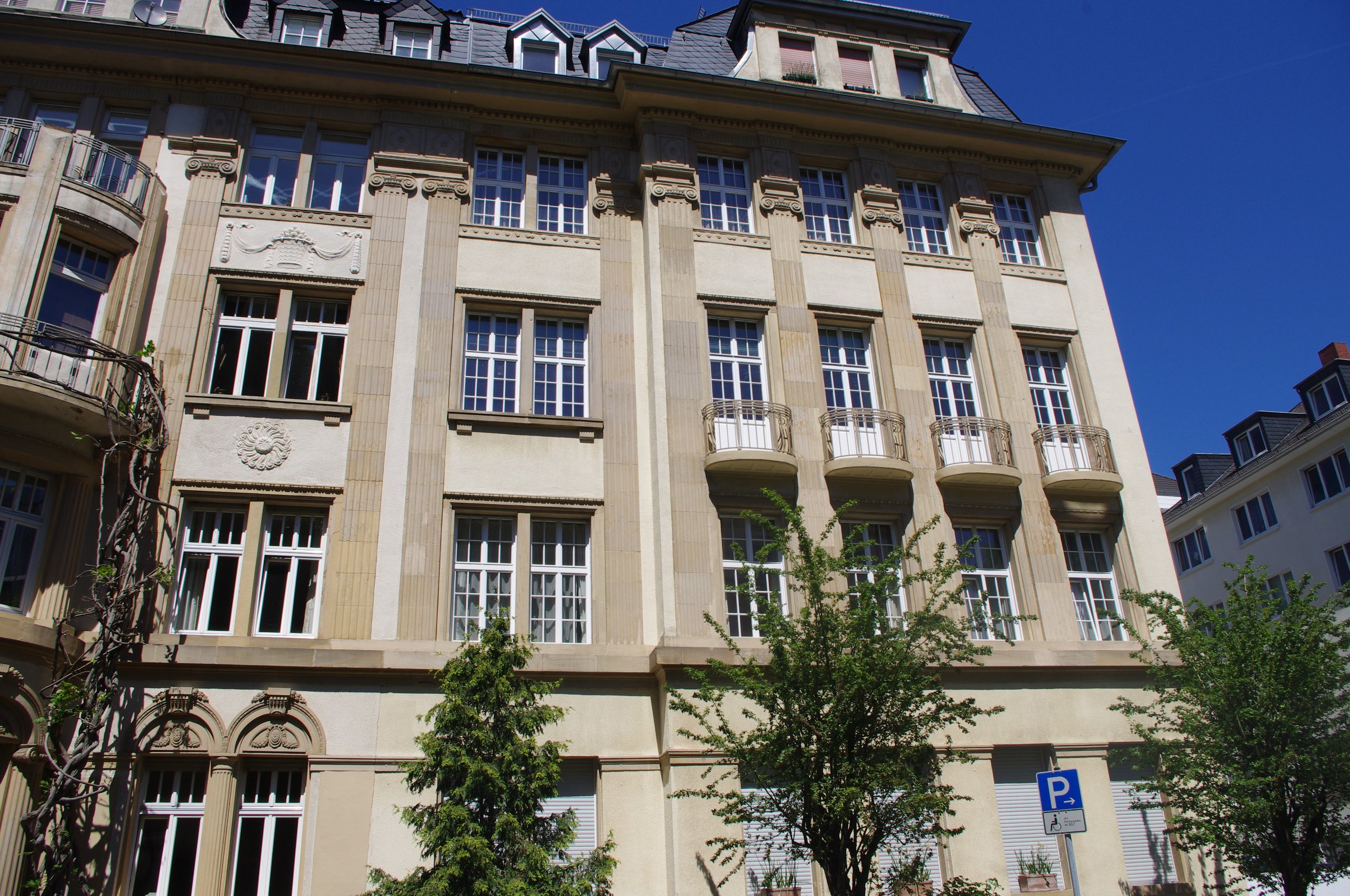 IMGP3450.JPG
