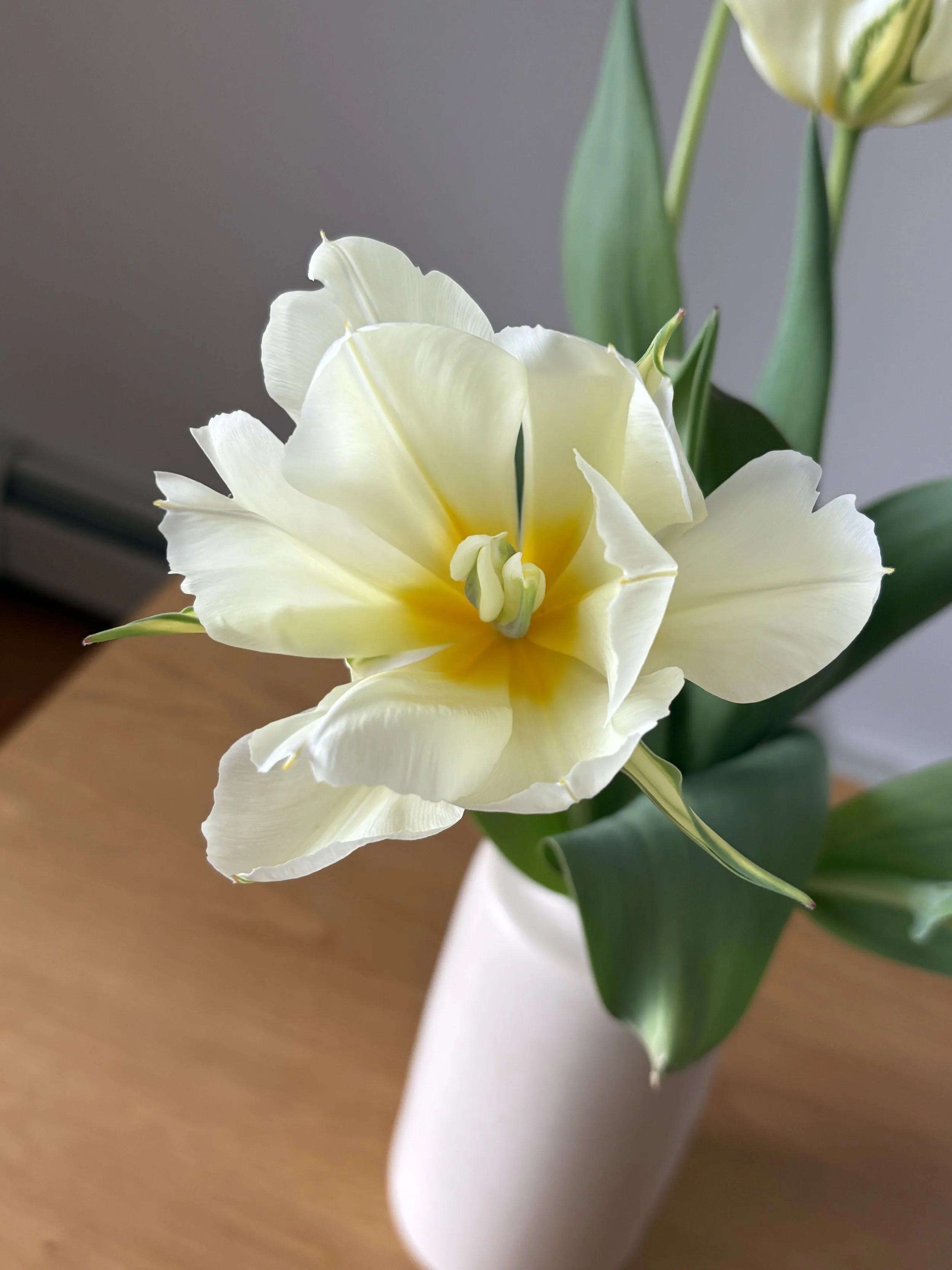 IMG_8287.jpeg