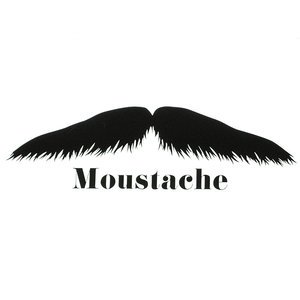 moustache-2.jpeg