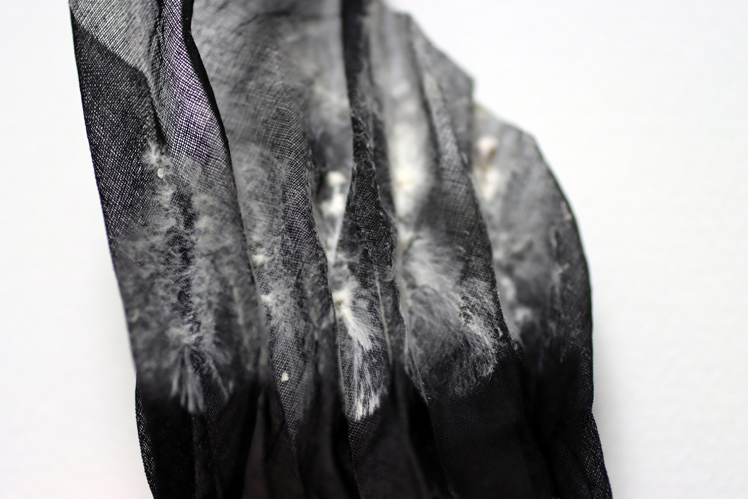 mycelium textiles -pleat detail-carole collet 2019.jpg