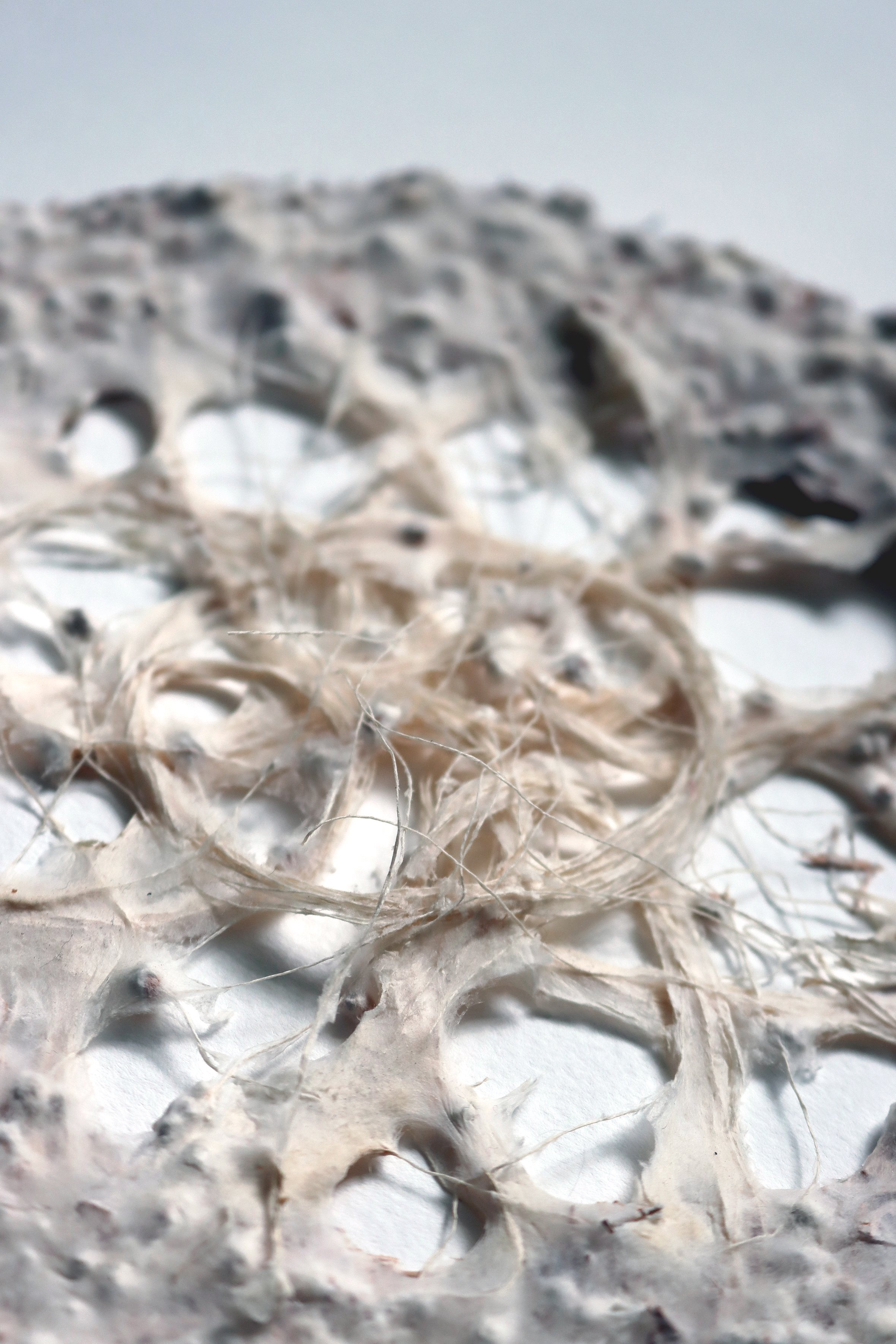 mycelium textiles-doily detail-carole collet 2019.jpg
