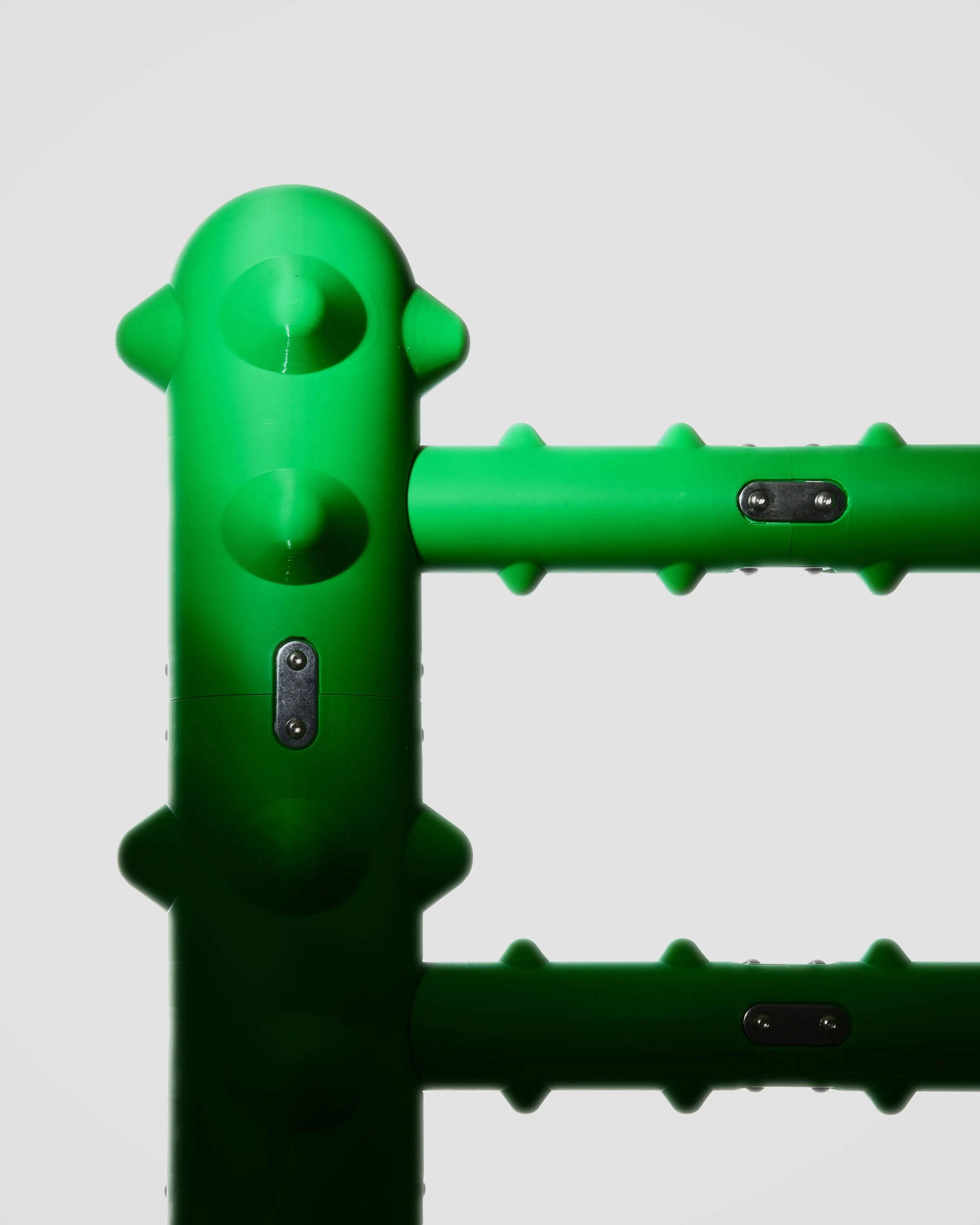 Spikes-n_roses-05 - Copyright Maxence Renard.jpg